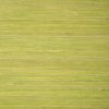 RAFFIA PALM T24070